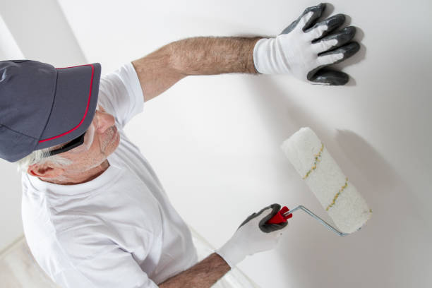 Professional Mold Removal in Forest City, PA
