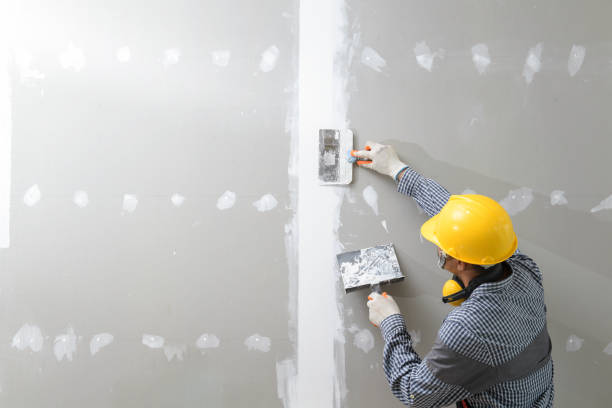 Dehumidification Services in Forest City, PA