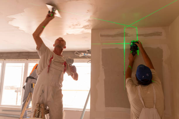 Best Emergency Mold Remediation  in Forest City, PA